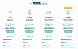 Flywheel- Fastest Web Hosting for WordPress
