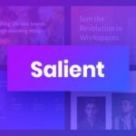 Salient Theme Nulled