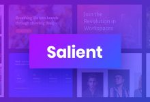 Salient Theme free Download 14.0.4 Multi-Purpose Nulled