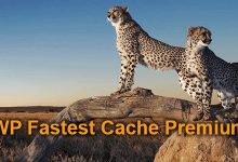 WP Fastest Cache Premium Plugin 1.6.3 WordPress Cache