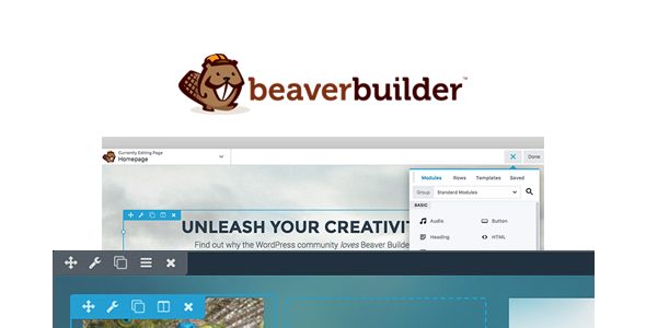 Beaver Builder Pro 2.5.4.2 WordPress Plugin Nulled