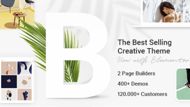 Bridge WordPress Theme 28.8 Nulled Creative Multipurpose