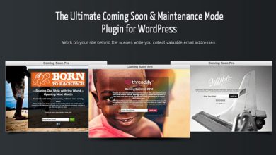 SeedPro Comming Soon Pro 6.12.2 Nulled WordPress Plugin