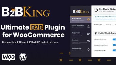 B2BKing Plugin Nulled