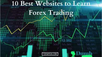 Top 10 Best Most Popular Forex Brokers in the World in 2023