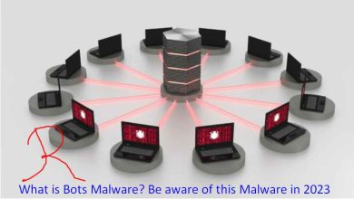 What is Bots Malware? Be aware of this Malware in 2023