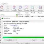 internet download manager free download crack