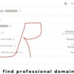 How to find professional domain names