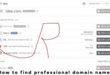 How to find professional domain names