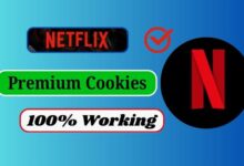 Netflix Premium Account Cookies