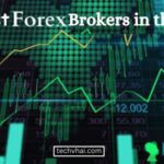 Best Forex Brokers in the World